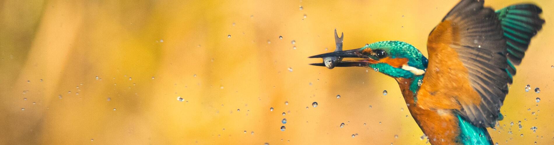 def7916d-168f-4423-b94e-51f1658a054c