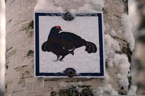 fab01119-8138-4881-892c-3c73a1d1c5ff