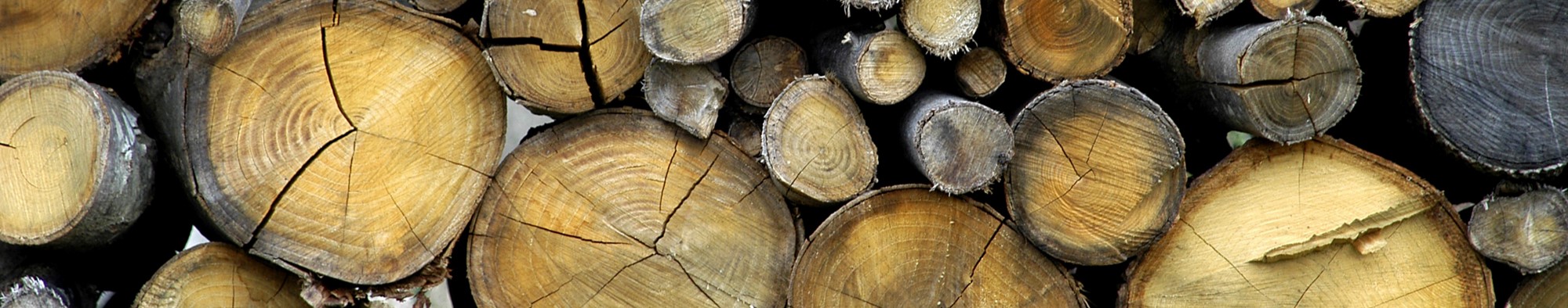 69a4d06b-72fe-4cd6-9e96-498288df0a72