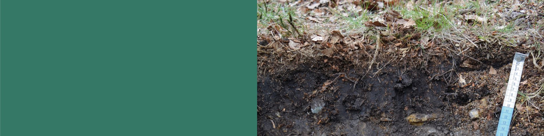 2c7a5db1-4d98-498a-9f90-d8591f263517