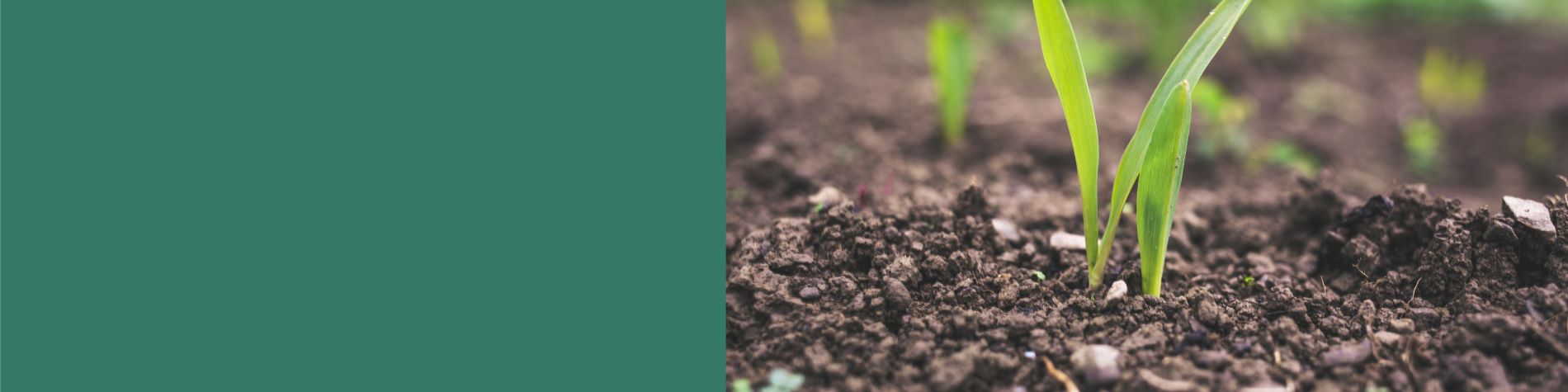 e2ab9083-81dc-4e60-a9d6-3788835bb282