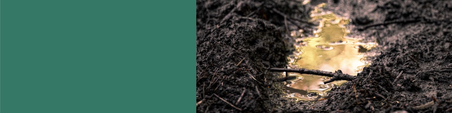 781c1739-2524-4de0-84b7-b0767a9d8697